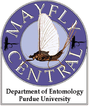 mayflycentrallogo.gif (44713 bytes)